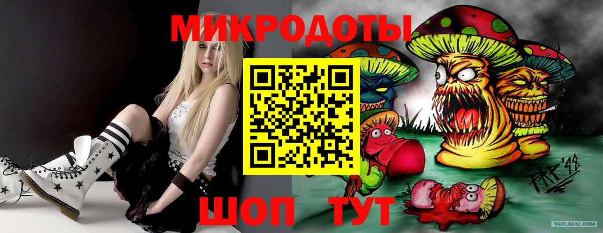 Галлюциногенные грибы Magic Shrooms Котлас