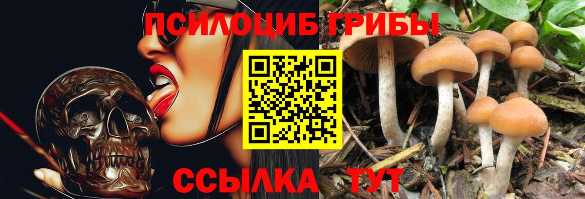 Галлюциногенные грибы MAGIC MUSHROOMS  Псилоцибиновые грибы GOLDEN TEACHER  Котлас  Вход с VPN 